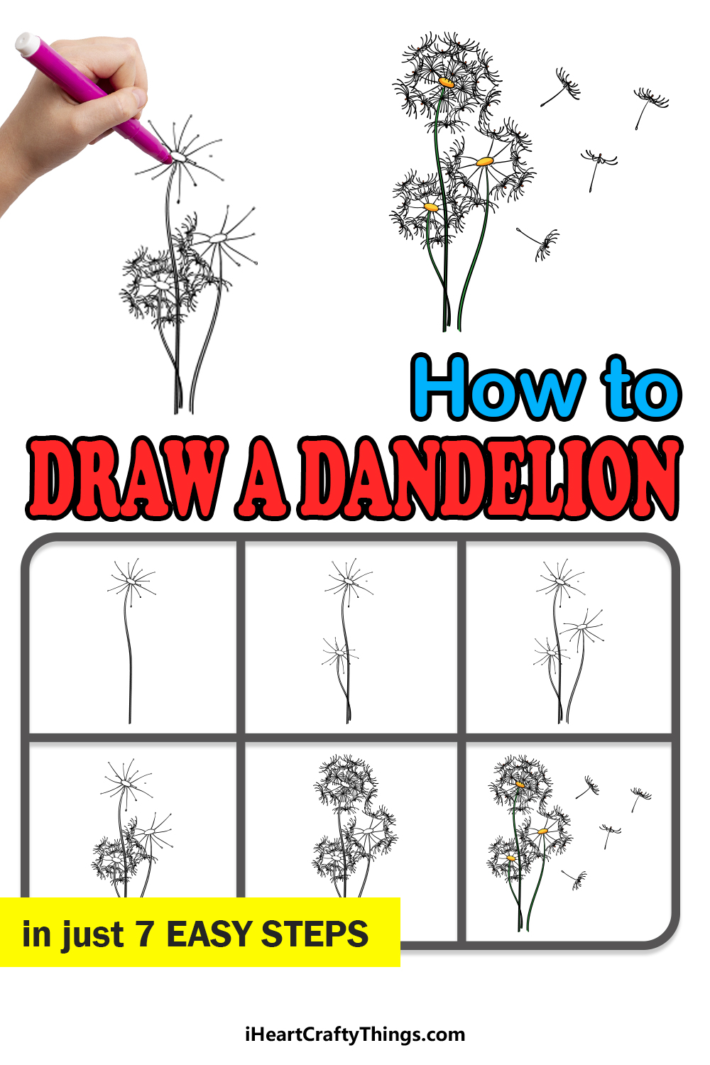 Dandelion Drawing How To Draw A Dandelion Step By Step