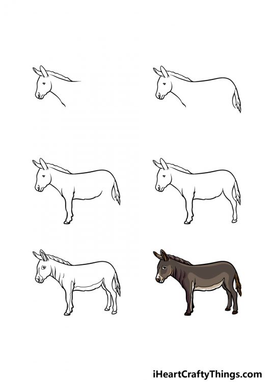 Donkey Drawing - How To Draw A Donkey Step By Step