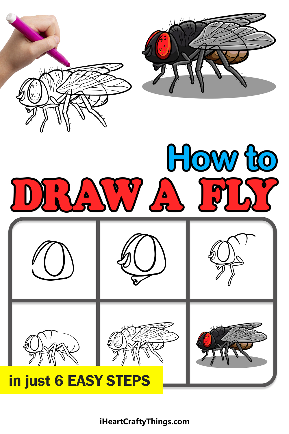 how to draw a fly in 6 easy steps