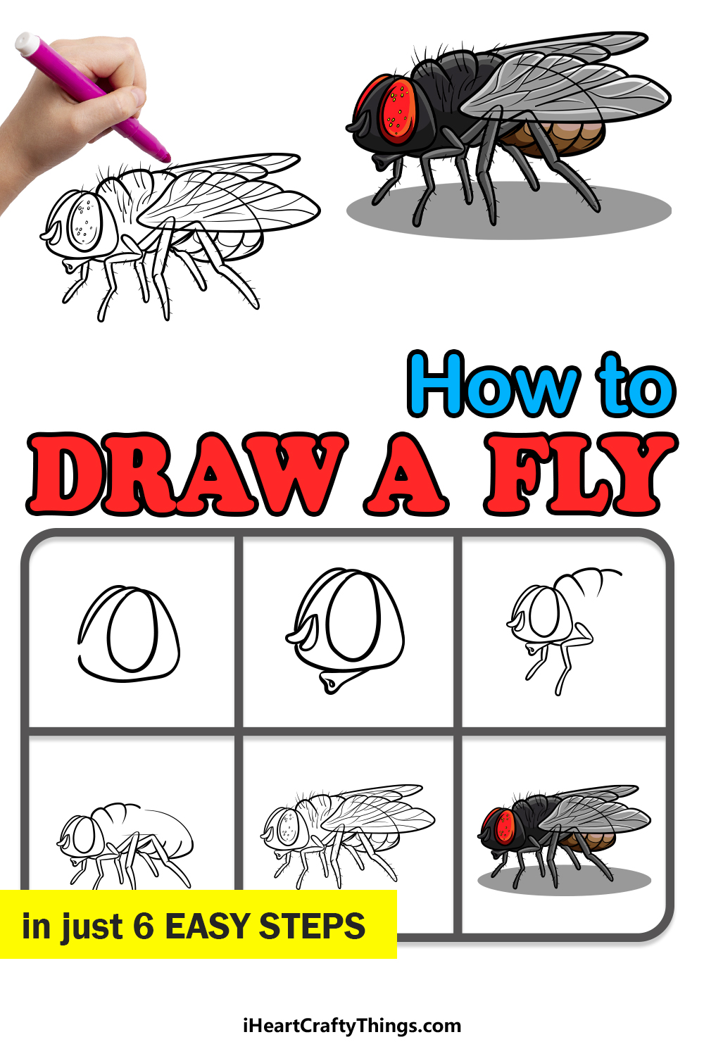 House Fly, Drawing by Abhilash | Artmajeur