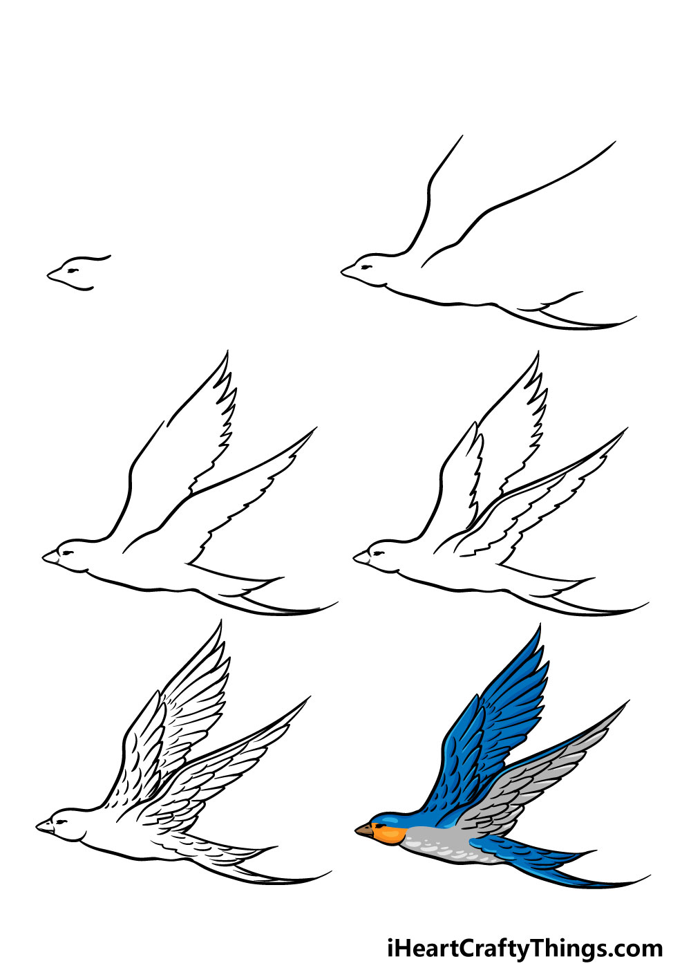 cách vẽ một con chim đang bay trong 6 bước đơn giản