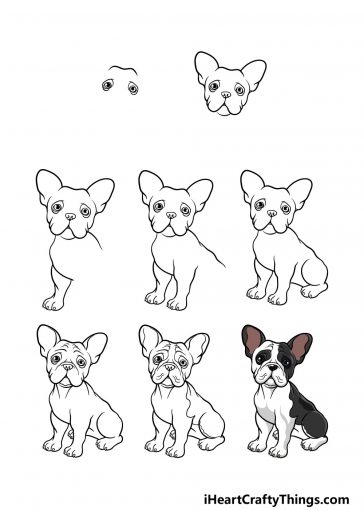 French Bulldog Drawing - How To Draw A French Bulldog Step By Step