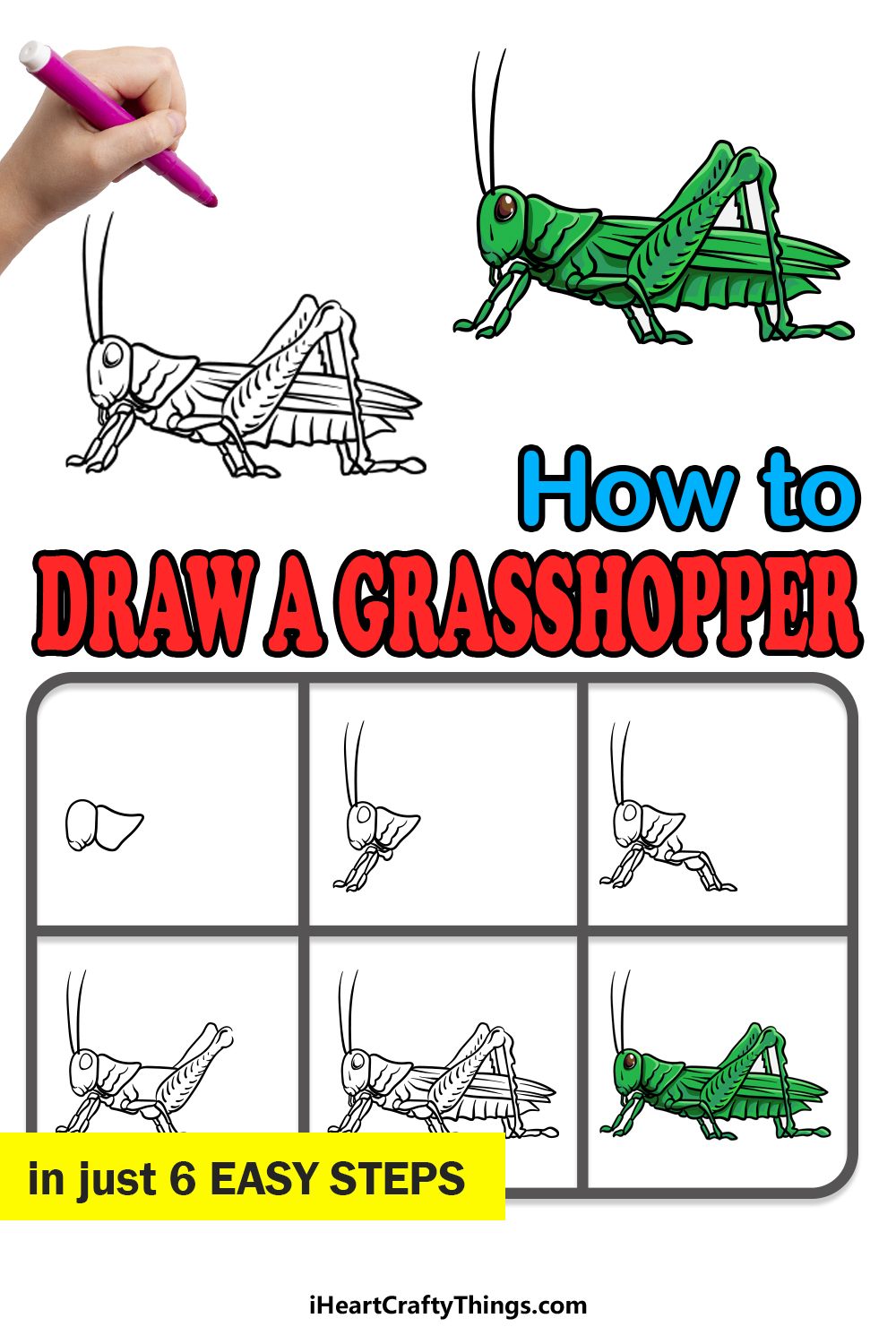 how to draw a grasshopper in 6 easy steps