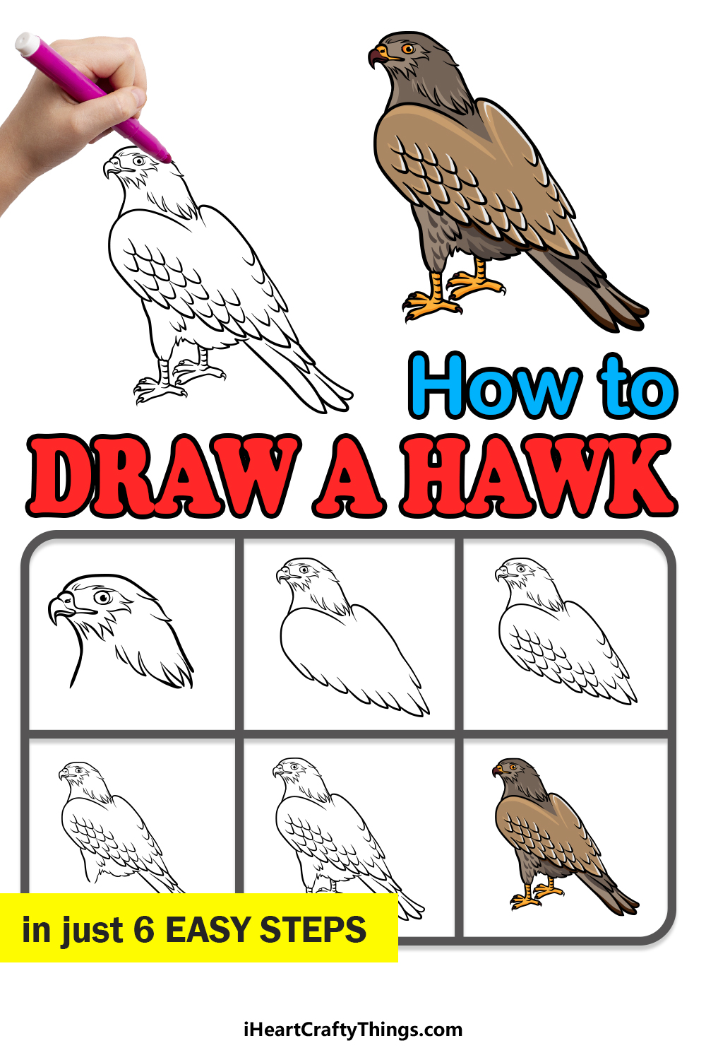 Hawk Drawing How To Draw A Hawk Step By Step