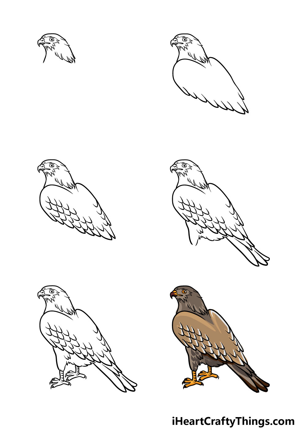 how to draw a hawk step by step for kids