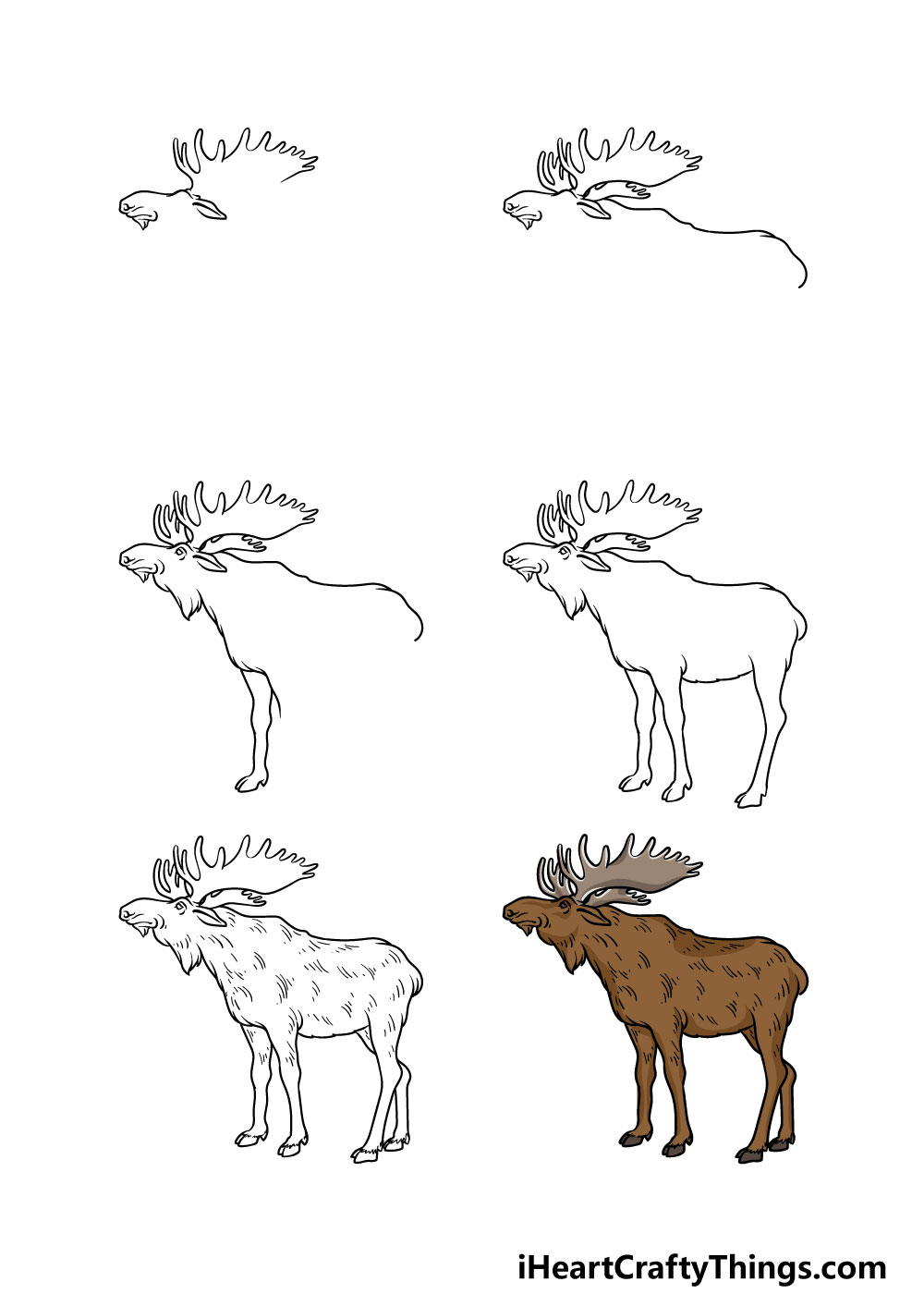 how to draw a moose in 6 steps