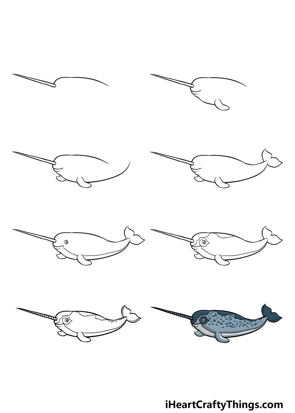 how to draw a narwhal in 8 steps