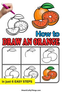 Orange Drawing - How To Draw An Orange Step By Step