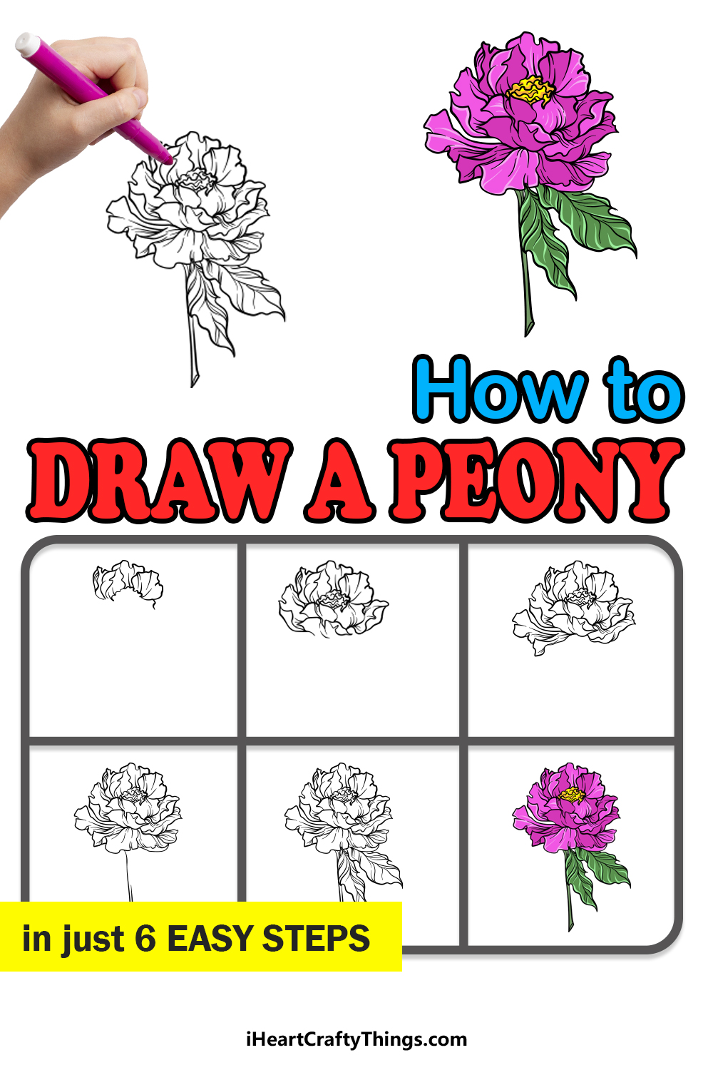 how to draw a peony in 6 easy steps