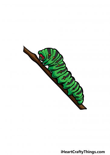 drawing a caterpillar image