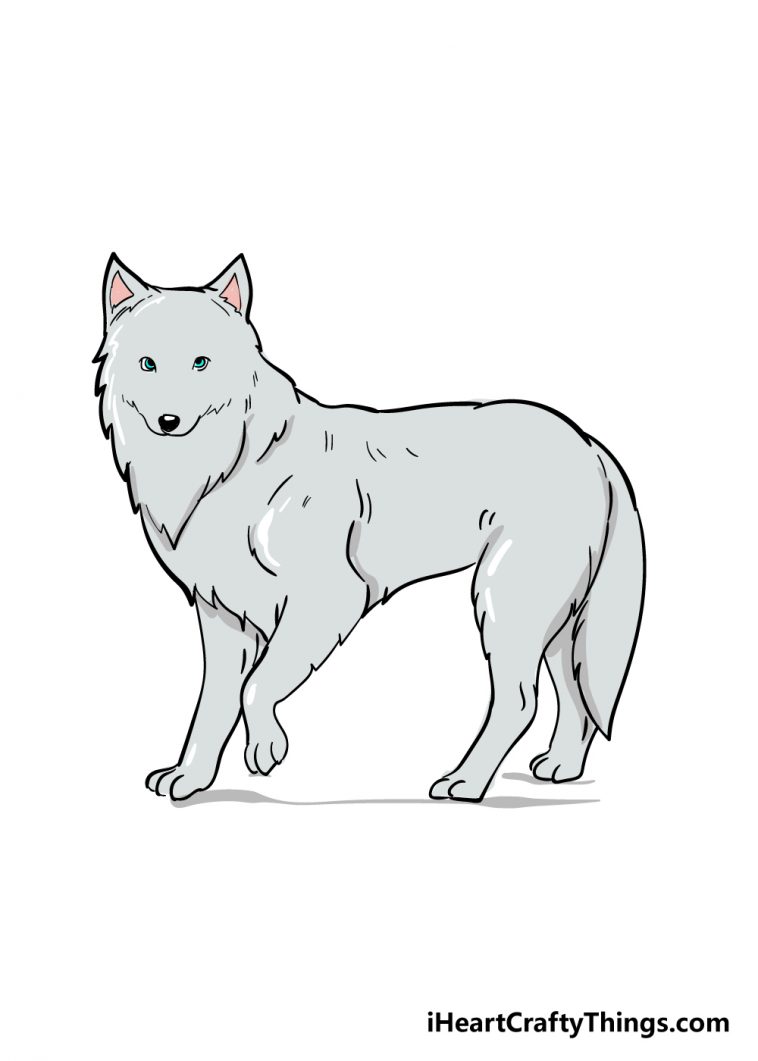 how to draw arctic fox image
