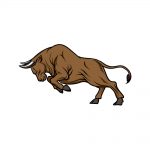 how to draw a bull image