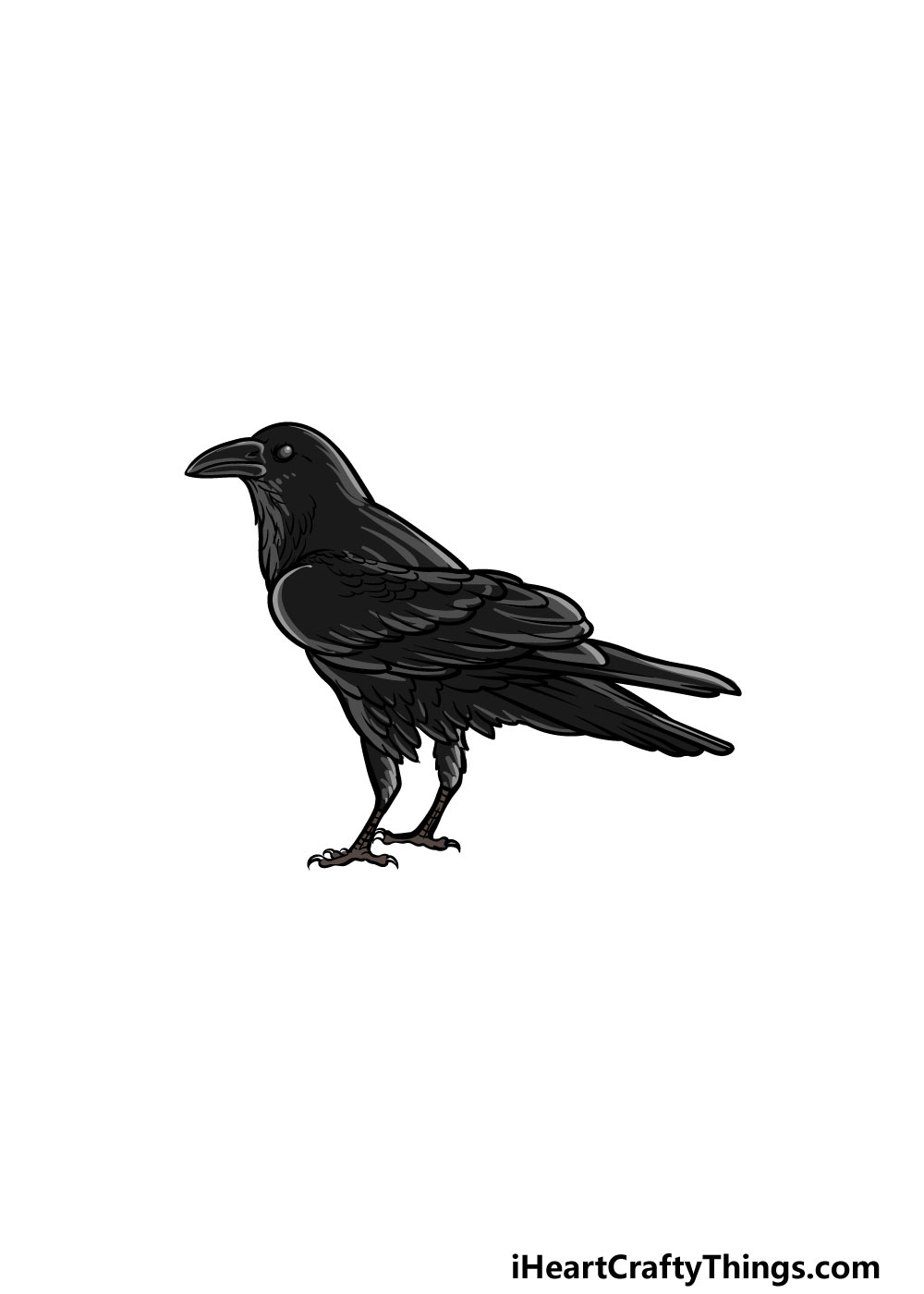 Crow Drawing - How To Draw A Crow Step By Step
