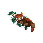 how to draw a Red Panda image