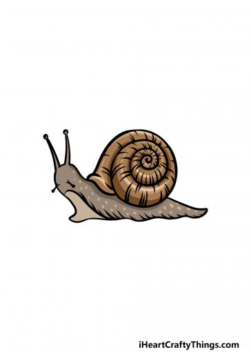 how to draw a snail image