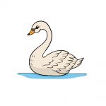 how to draw a swan image