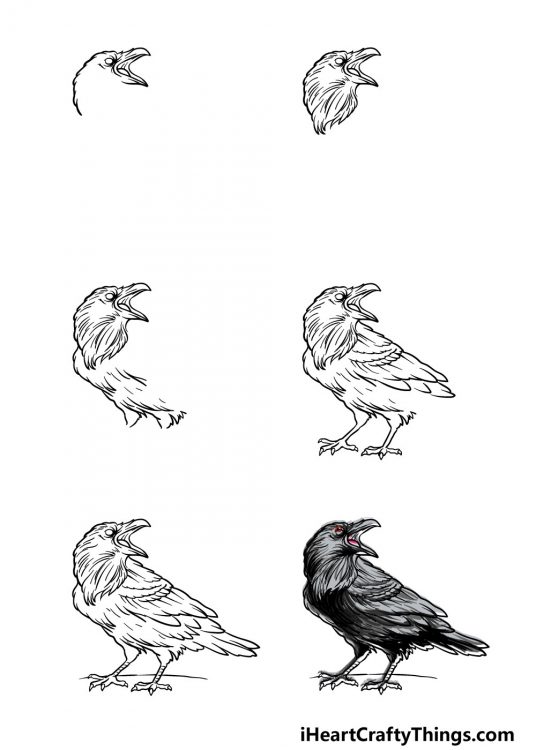 Raven Drawing - How To Draw A Raven Step By Step