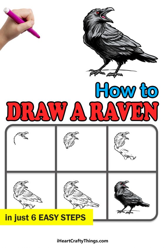 Raven Drawing - How To Draw A Raven Step By Step