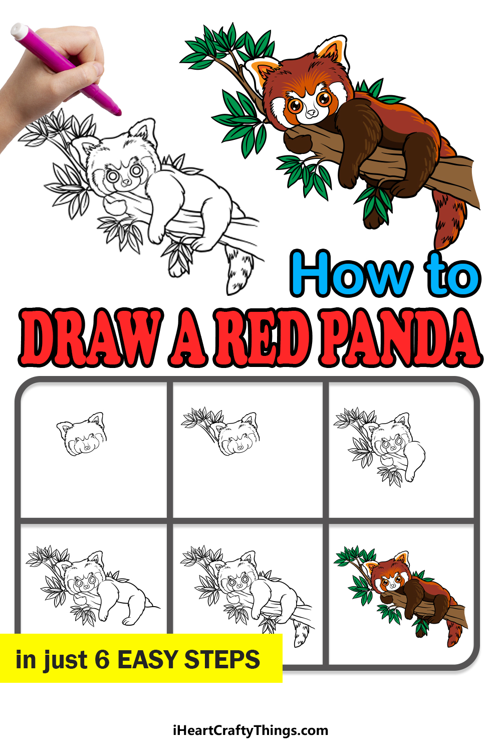 red panda drawing easy