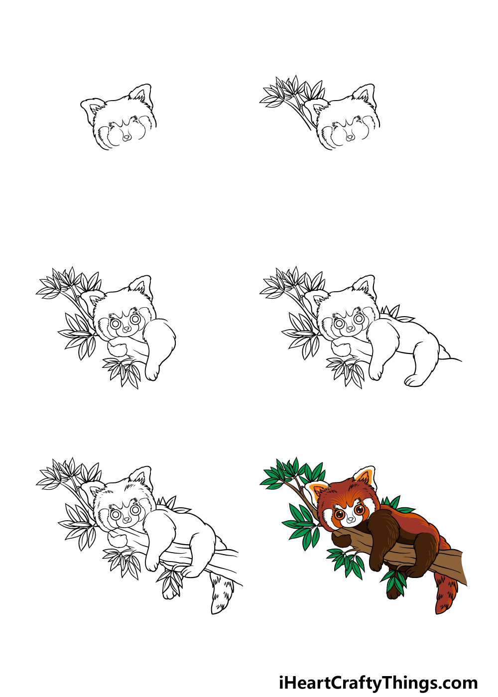 Red Panda Drawing How To Draw A Red Panda Step By Step