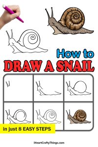 Snail Drawing - How To Draw A Snail Step By Step