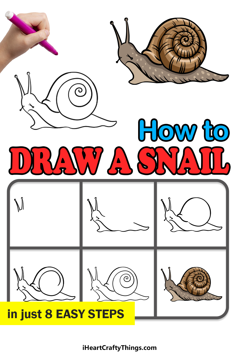 how to draw a snail in 8 easy steps