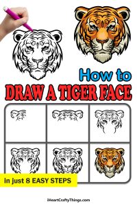 Tiger Face Drawing - How To Draw A Tiger Face Step By Step