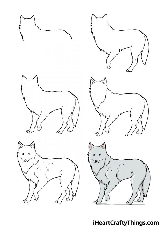 how to draw arctic fox for kids Arctic fox drawing adoptme