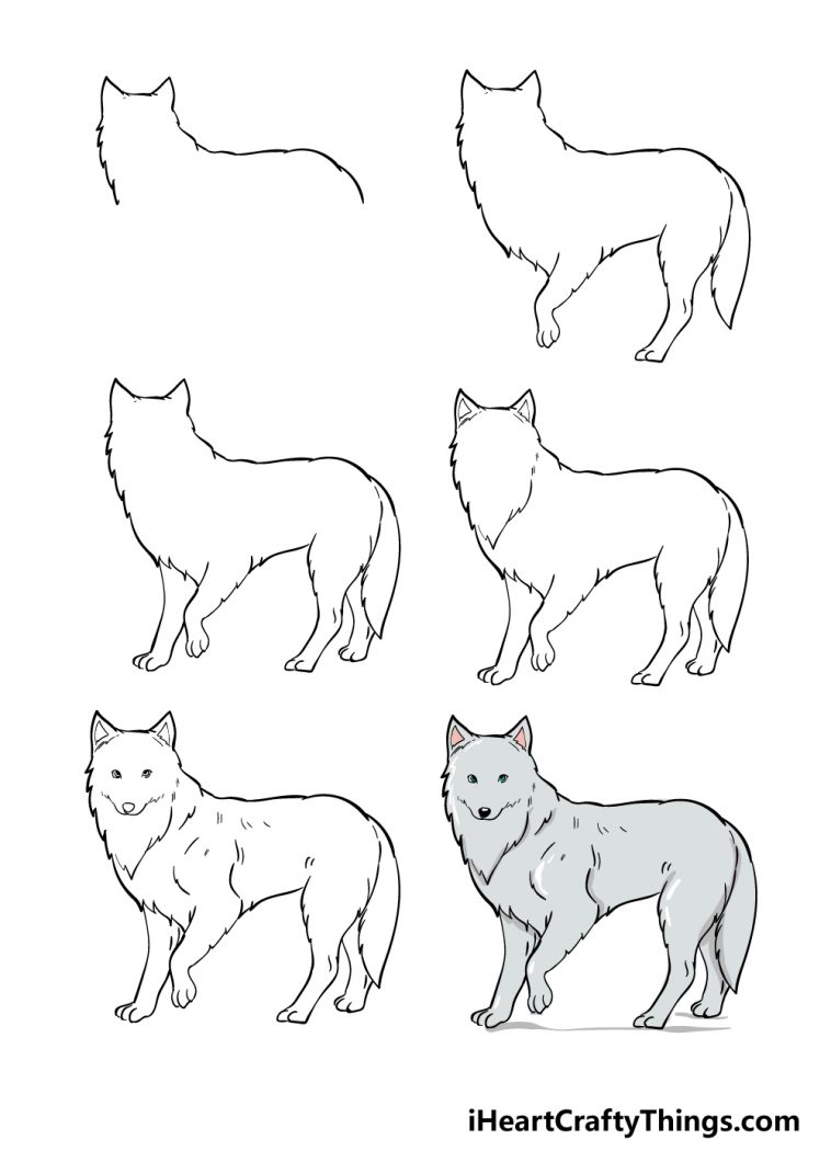 Рисунок волк поэтапно