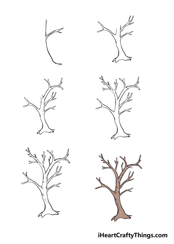 Branches Drawing How To Draw Branches Step By Step