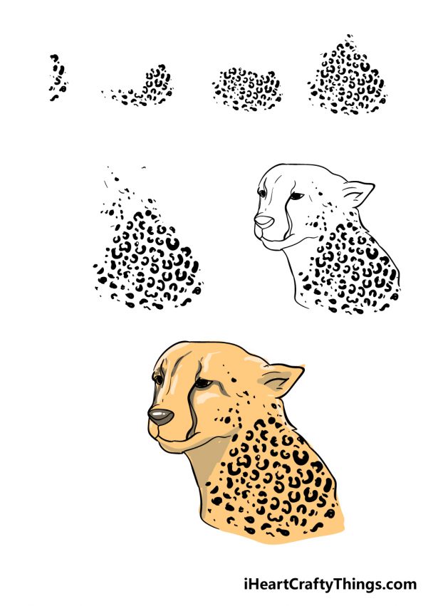 Cheetah Print Drawing - How To Draw Cheetah Print Step By Step