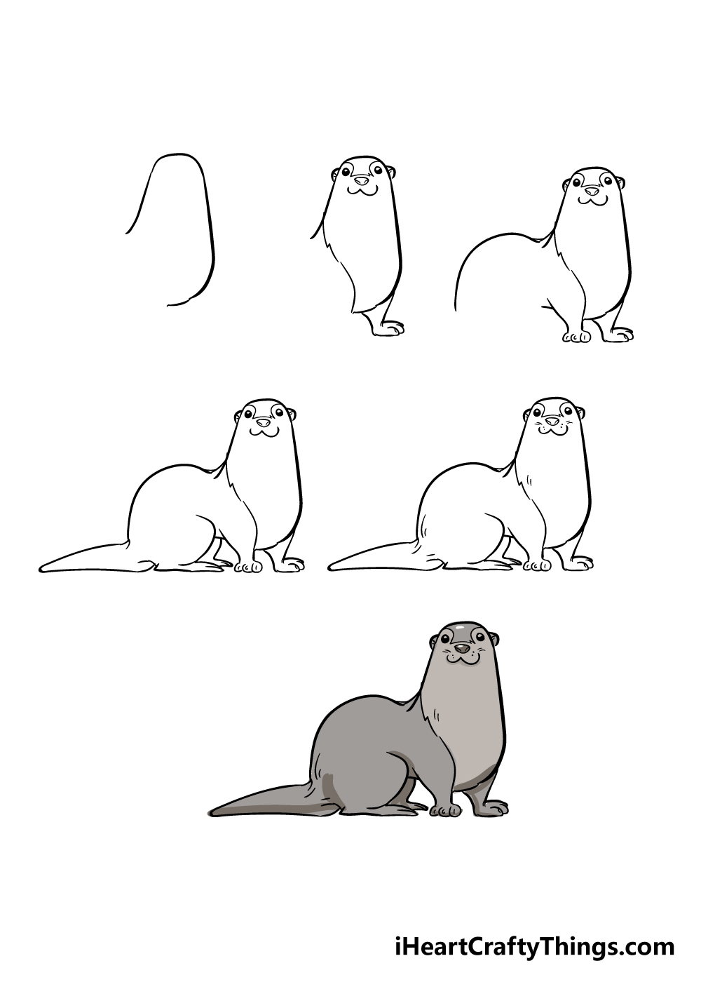 how to draw an otter in 6 steps