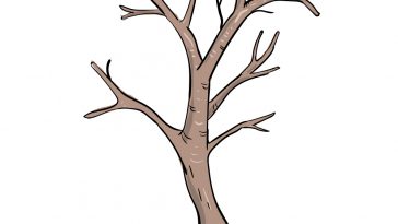 how to draw tree branches image