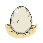 how to draw an egg image