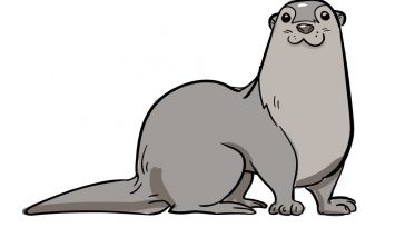 how to draw otter image