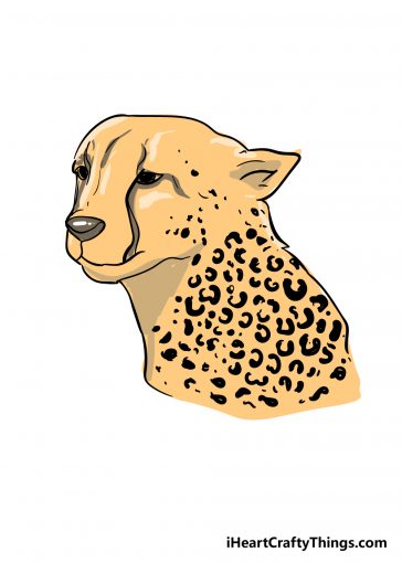 how to draw cheetah print image