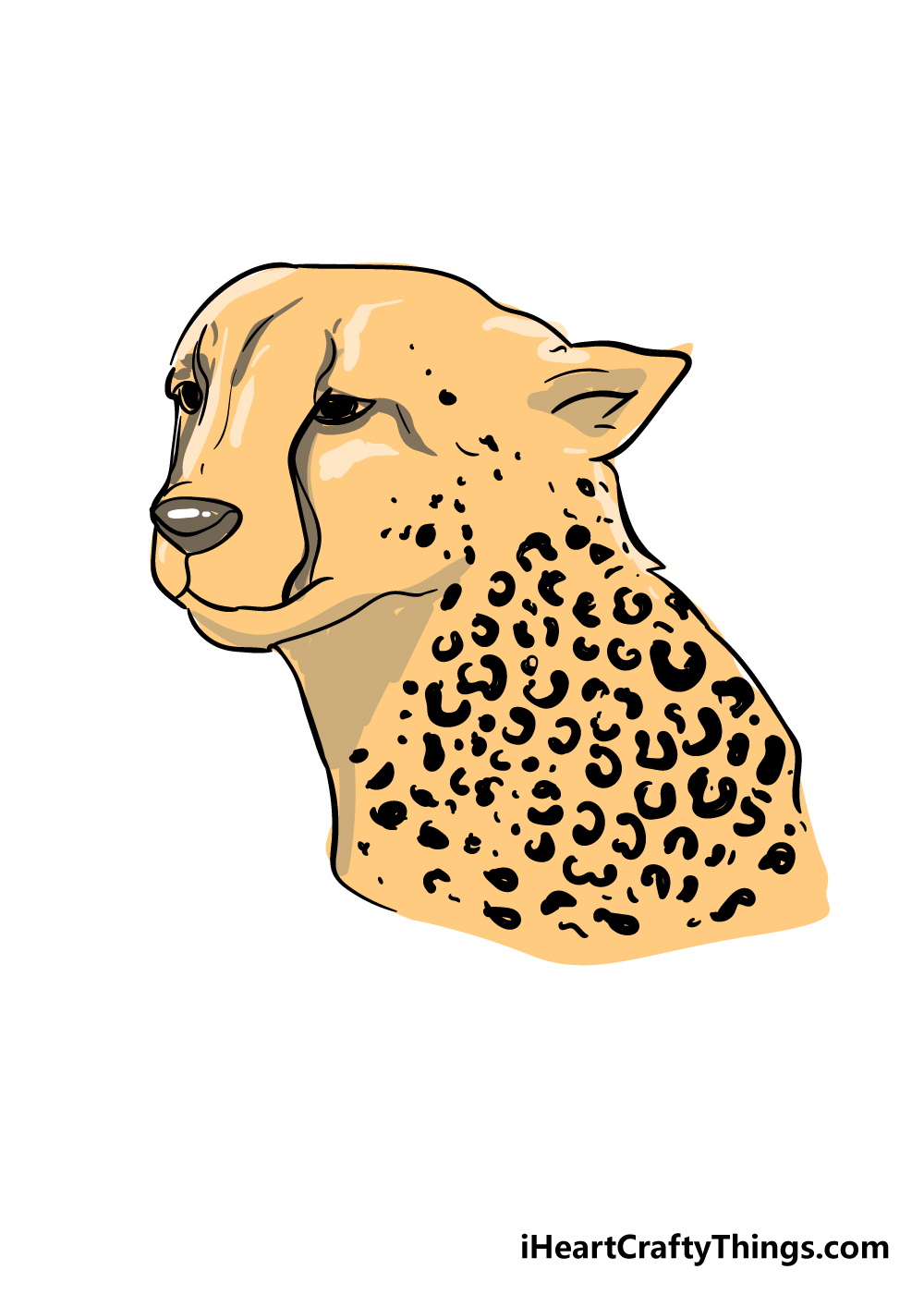 Cheetah Print Drawing