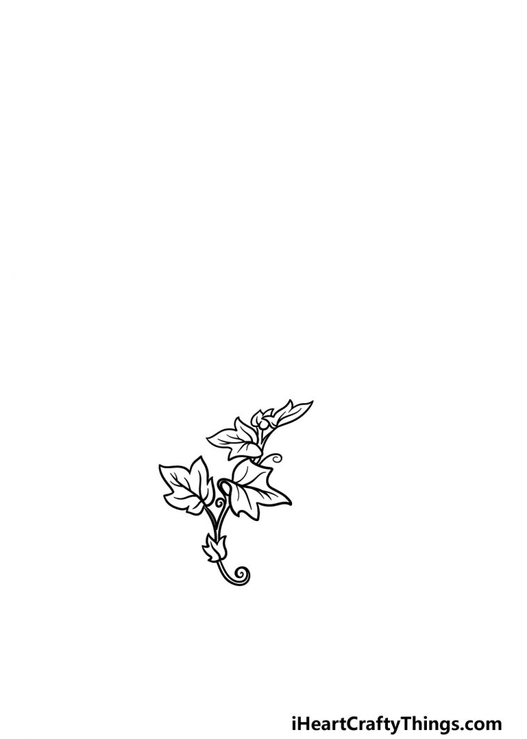 Vines Drawing - How To Draw Vines Step By Step