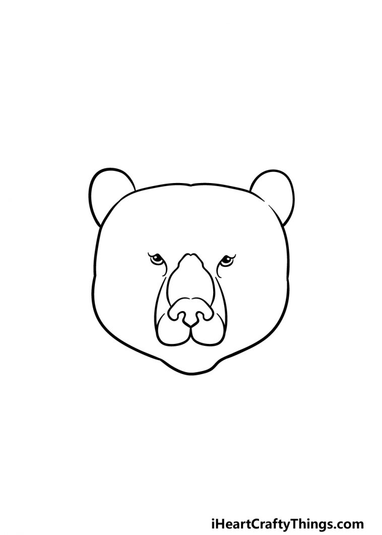 Bear Face Drawing How To Draw A Bear Face Step By Step
