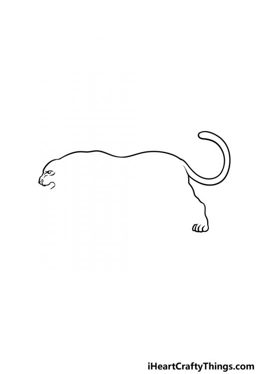 Panther Drawing - How To Draw A Panther Step By Step