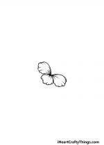 Hawaiian Flower Drawing - How To Draw A Hawaiian Flower Step By Step