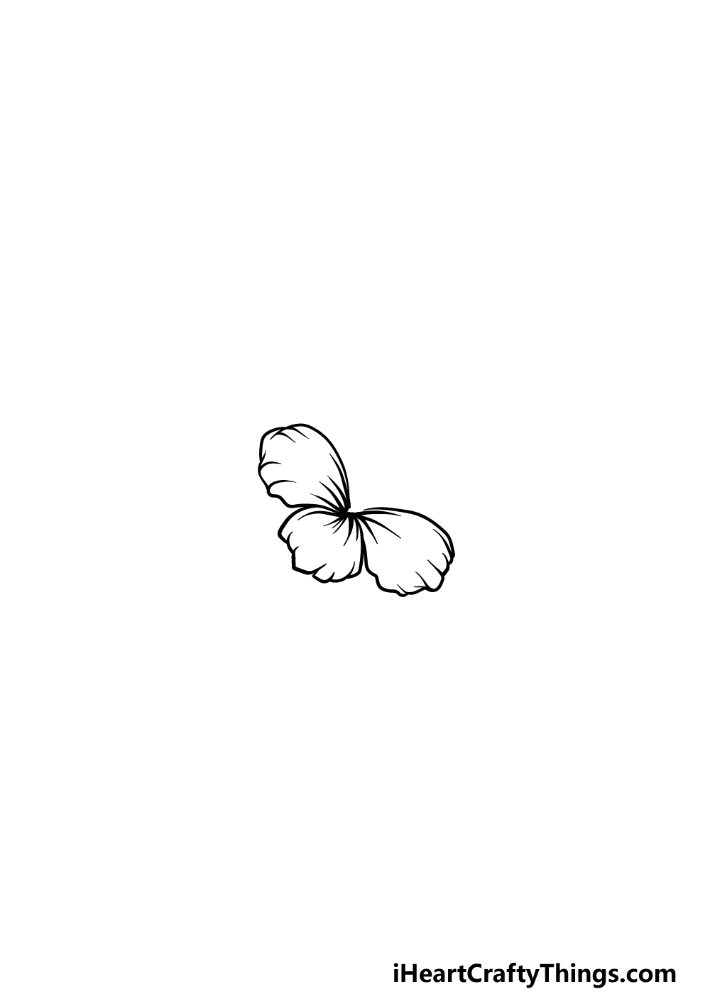 drawing Hawaiian Flower step 2