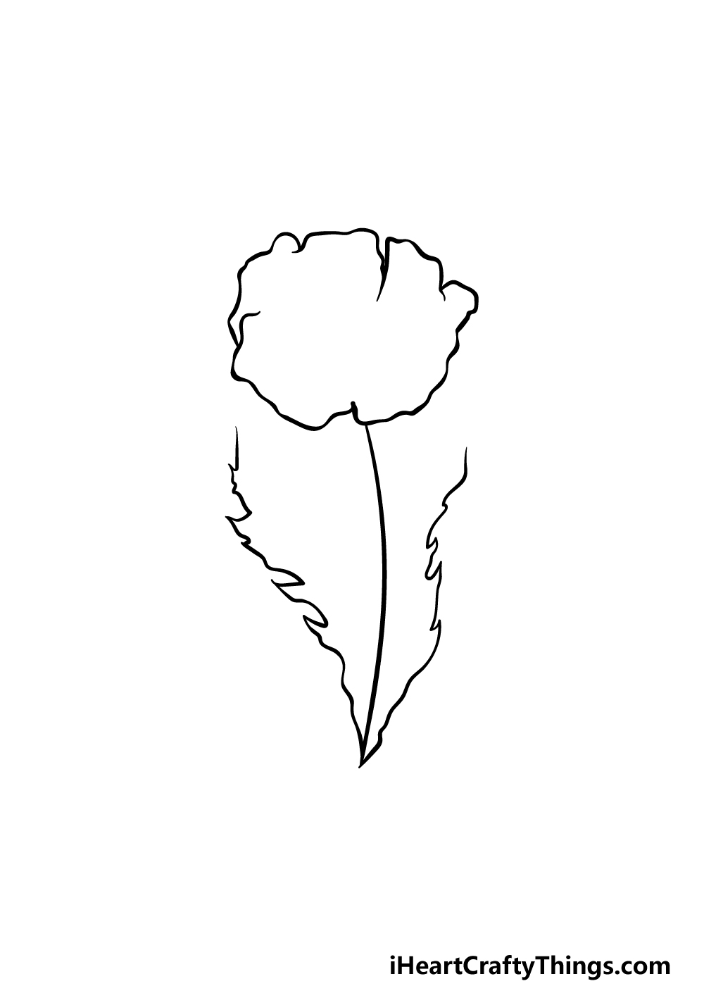drawing a poppy step 2