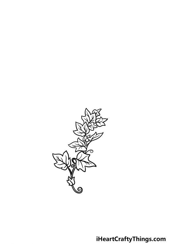 Vines Drawing - How To Draw Vines Step By Step