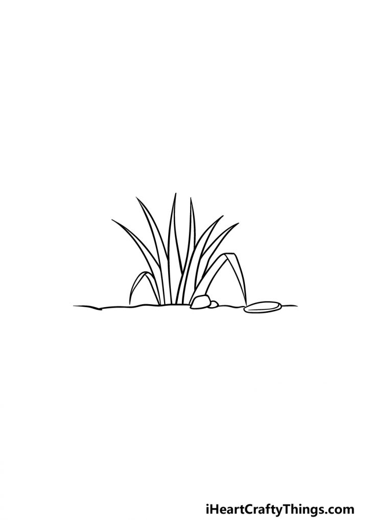 Grass Drawing How To Draw Grass Step By Step