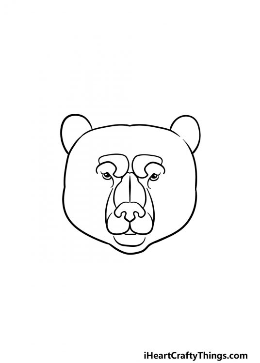 Bear Face Drawing - How To Draw A Bear Face Step By Step