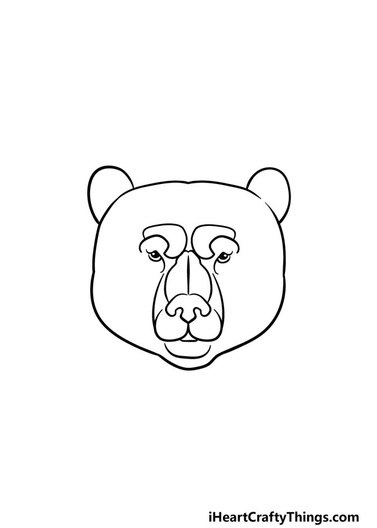 Bear Face Drawing - How To Draw A Bear Face Step By Step