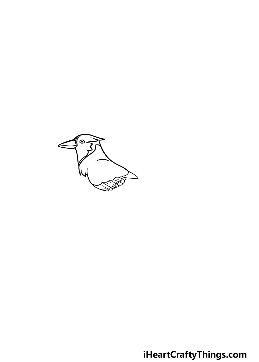 drawing a blue jay step 3