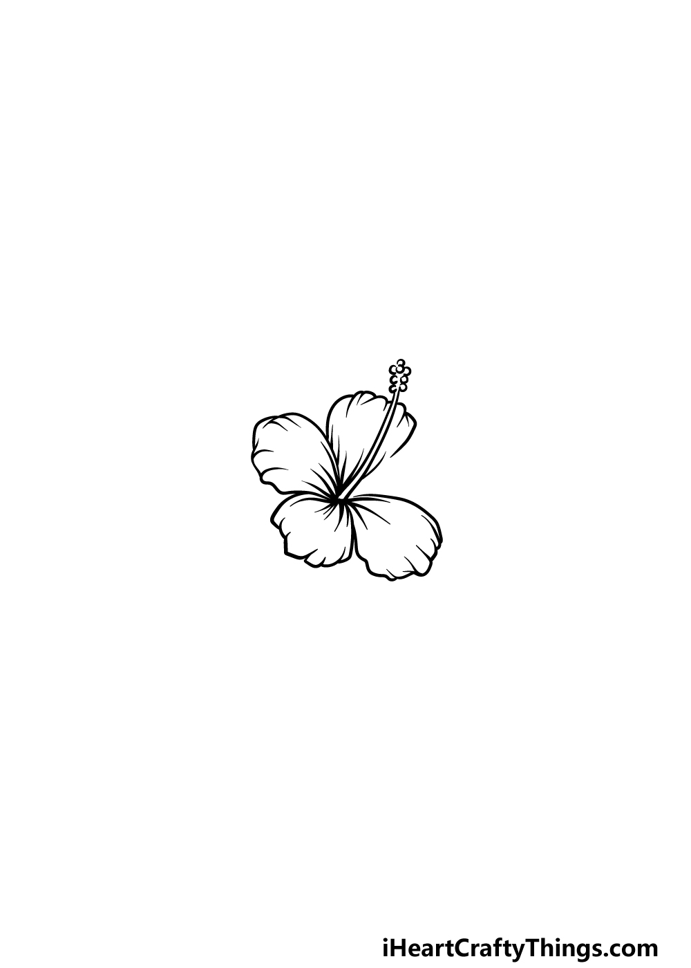 drawing Hawaiian Flower step 3