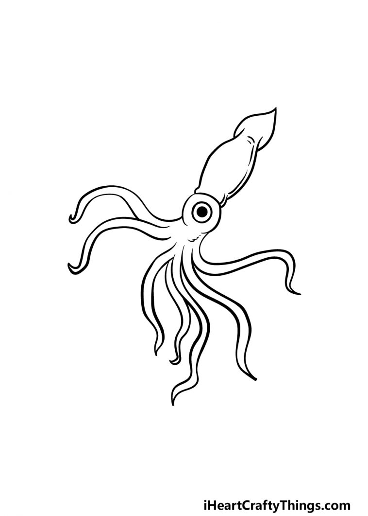 Squid Drawing How To Draw A Squid Step By Step